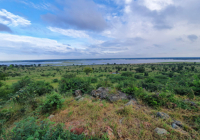 Machaba Destination Botswana Chobe National Park Gallery 06