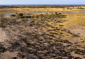 Machaba Destination Botswana Okavango Delta Gallery 03