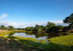Machaba Destination Zimbabwe Mana Pools Park Gallery 12