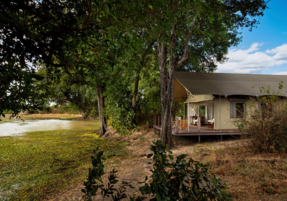 Machaba Zimbabwe Ingwe Camp Gallery 02