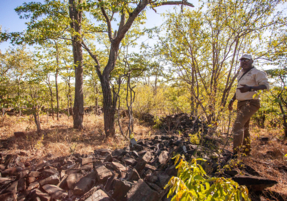 Machaba Safaris Experience Walking Safari 06