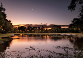 Machaba Zimbabwe Ingwe Camp Gallery 10