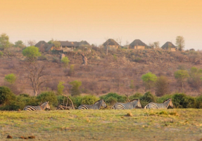Machaba Destination Botswana Chobe National Park Gallery 04