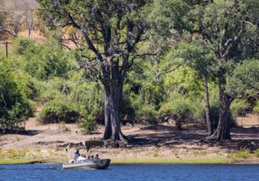 Machaba Safaris Web Destinations Chobe Diverse Biomes