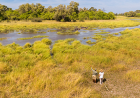 Machaba Safaris Web Experience Walking Safari Overlooking River