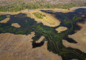 Machaba Destination Botswana Okavango Delta Gallery 09