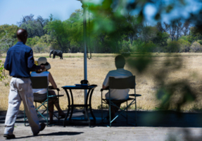 Machaba Safaris Camp Highlights 25