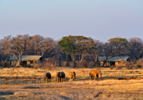 Machaba Safaris Destination Highlights 01