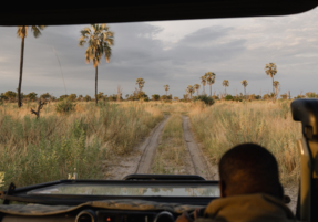 Machaba Safaris Web Experience Gamedrives View From Vehicle