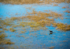 Machaba Destination Botswana Okavango Delta Gallery 13