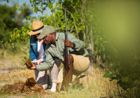 Machaba Safaris Web Experience Walking Safari Tracking