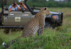 Machaba Safaris Experience Safari Game Drive 03