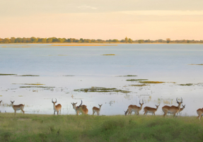 Machaba Safaris Destination Highlights 11