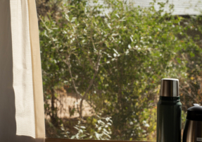 Machaba Zimbabwe Ingwe Camp Gallery 01