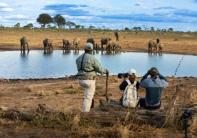 Machaba Gallery Experience Walking Safari Elephant Photography