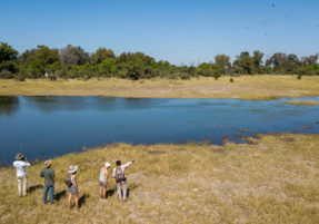 Machaba Safaris Experience Walking Safari 01