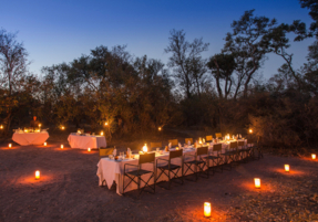 Machaba Botswana Little Machaba Gallery 19