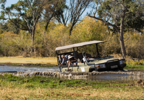 Machaba Safaris Experience Safari Game Drive 19