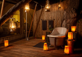 Machaba Botswana Little Machaba Gallery 16