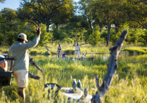 Machaba Safaris Web Experience Mokoro Arriving For Coffee Break