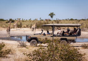 Machaba Safaris Experience Safari Game Drive 08