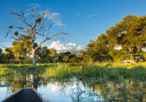 Machaba Safaris Web Experience Mokoro View From Water