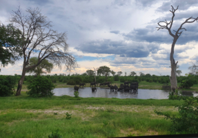 Machaba Destination Botswana Chobe National Park Gallery 02