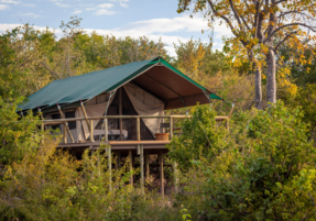Machaba Safaris Camp Highlights 13