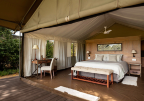 Machaba Zimbabwe Ingwe Camp Gallery 16