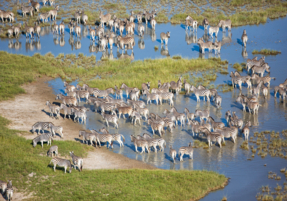 Machaba Safaris Destination Highlights 15