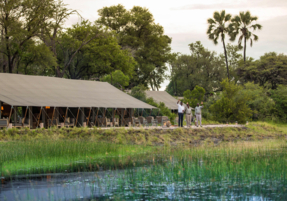 Machaba Botswana Gomoti Plains Gallery 11