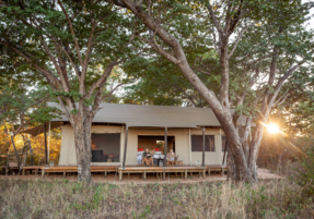 Machaba Zimbabwe Verneys Camp Gallery 12