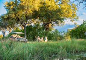 Machaba Safaris Web Experience Gamedrives Safari Stop