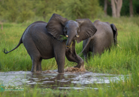 Machaba Safaris Experience Safari Mokoro Boat 14